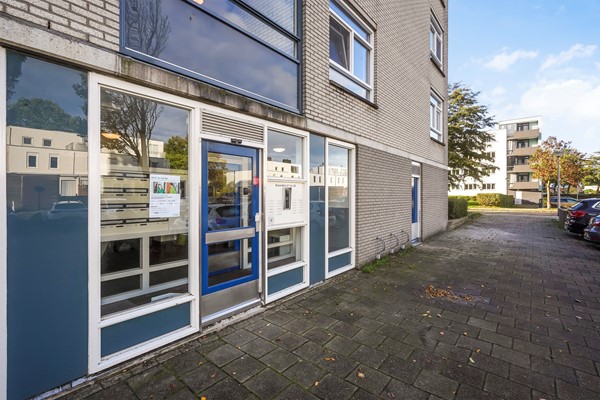 Foto - Te koop: Buizerdlaan 127, 2623 JR Delft